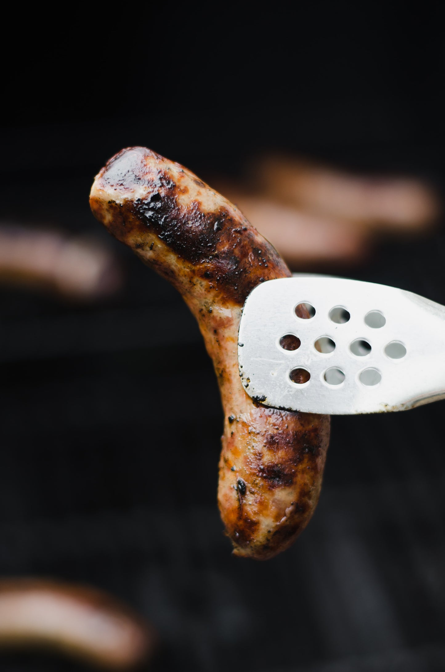 Wild Boar Sausage with Cranberries & Shiraz Wine
