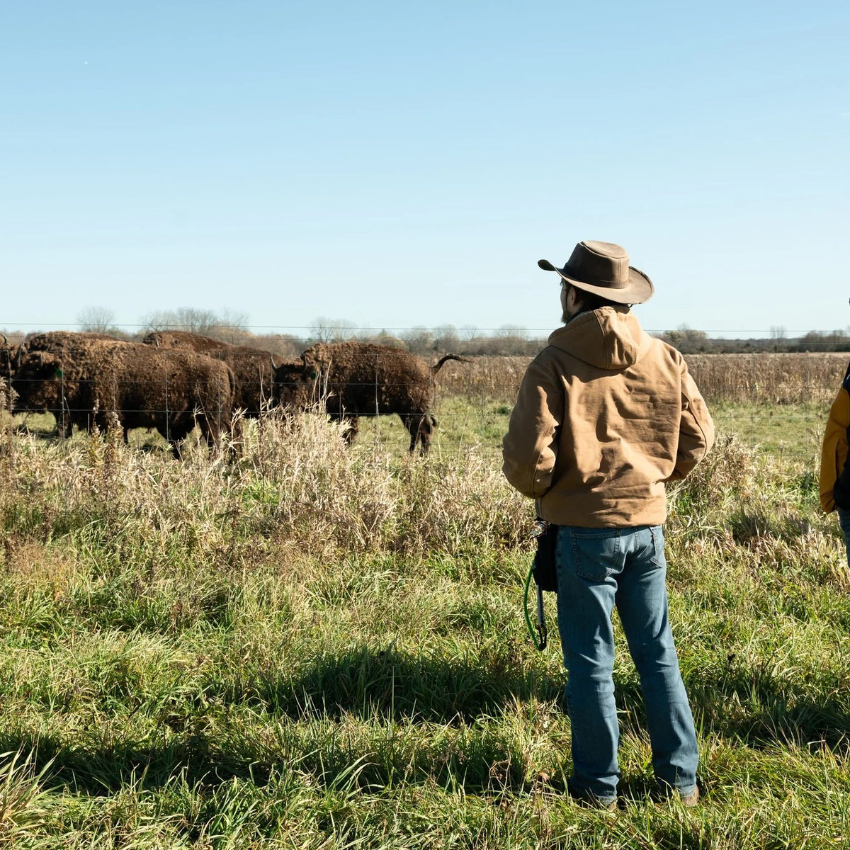 Ruhter Bison Farms: Where Heritage Meets Quality – Chicago Game & Gourmet