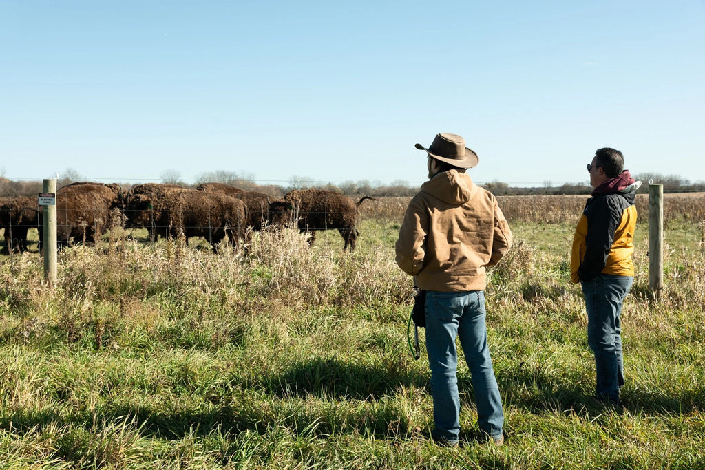 Ruhter Bison Farms: Where Heritage Meets Quality