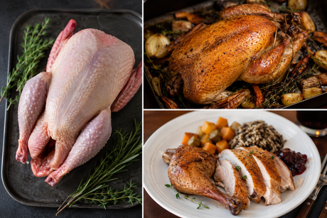 Pheasant - Whole Oven Ready