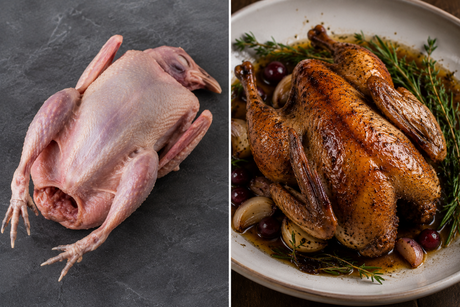 Squab Whole (NY Dressed)