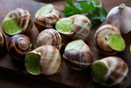 Escargot in Garlic & Parsley Butter